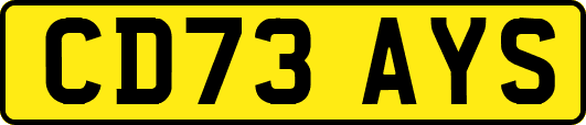 CD73AYS