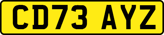 CD73AYZ
