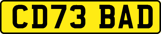 CD73BAD