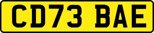 CD73BAE