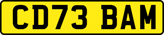 CD73BAM