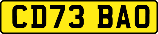 CD73BAO