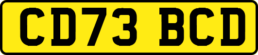 CD73BCD