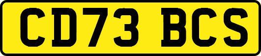 CD73BCS