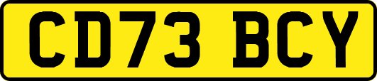 CD73BCY