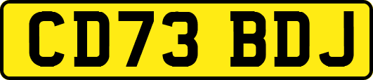 CD73BDJ