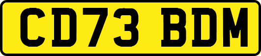 CD73BDM