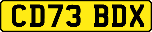 CD73BDX