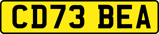 CD73BEA