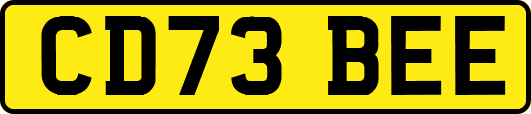 CD73BEE