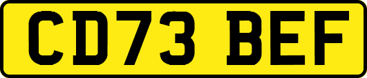 CD73BEF