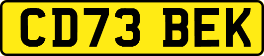 CD73BEK