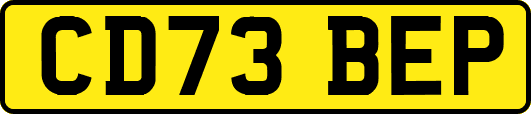 CD73BEP