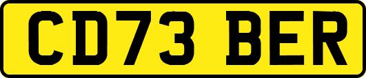 CD73BER