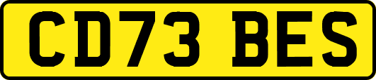 CD73BES