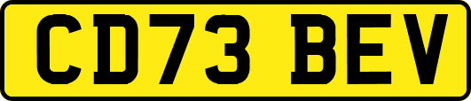 CD73BEV