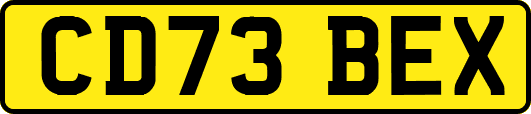CD73BEX