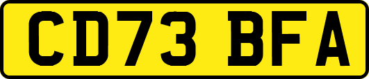 CD73BFA