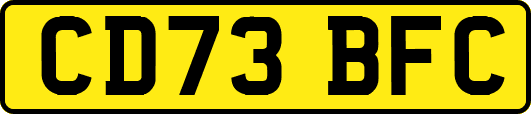 CD73BFC