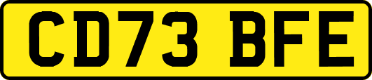 CD73BFE