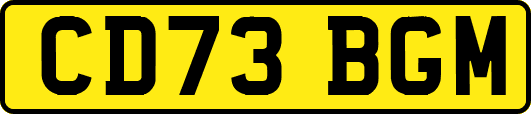 CD73BGM