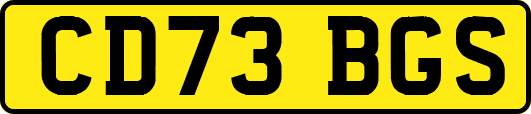 CD73BGS