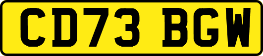CD73BGW