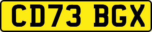 CD73BGX