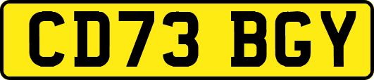CD73BGY