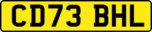 CD73BHL