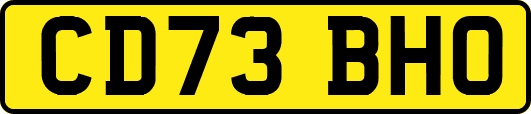 CD73BHO