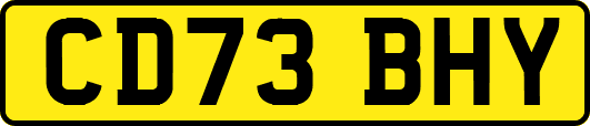 CD73BHY