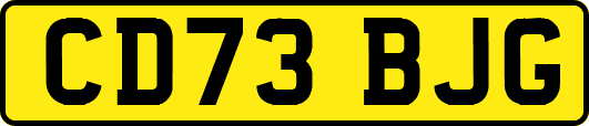CD73BJG