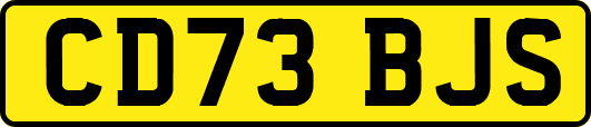 CD73BJS