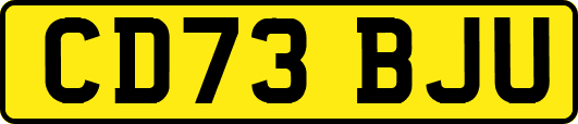 CD73BJU