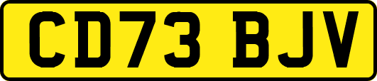 CD73BJV