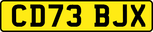 CD73BJX