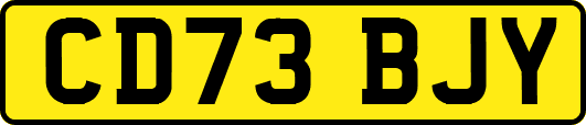 CD73BJY