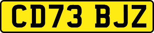CD73BJZ