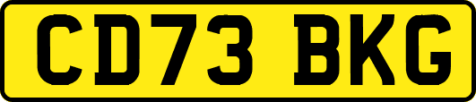 CD73BKG