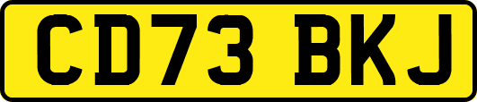 CD73BKJ