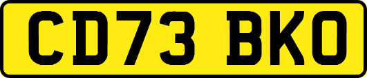 CD73BKO