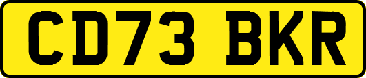 CD73BKR