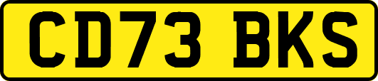 CD73BKS