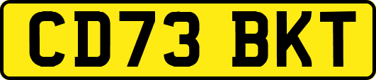 CD73BKT