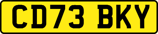 CD73BKY