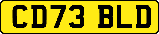 CD73BLD