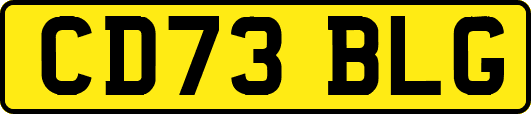 CD73BLG