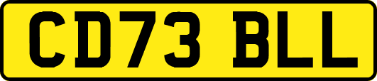 CD73BLL