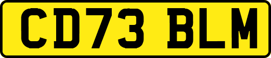 CD73BLM